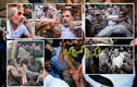 پی ایم کی رہائش گاہ کےقریب احتجاج: راہل، پرینکا، اکھلیش کو زبردستی ہٹایا گیا 
